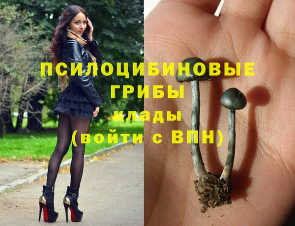 бошки Переславль-Залесский
